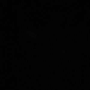 Meet your Posher, Jerry